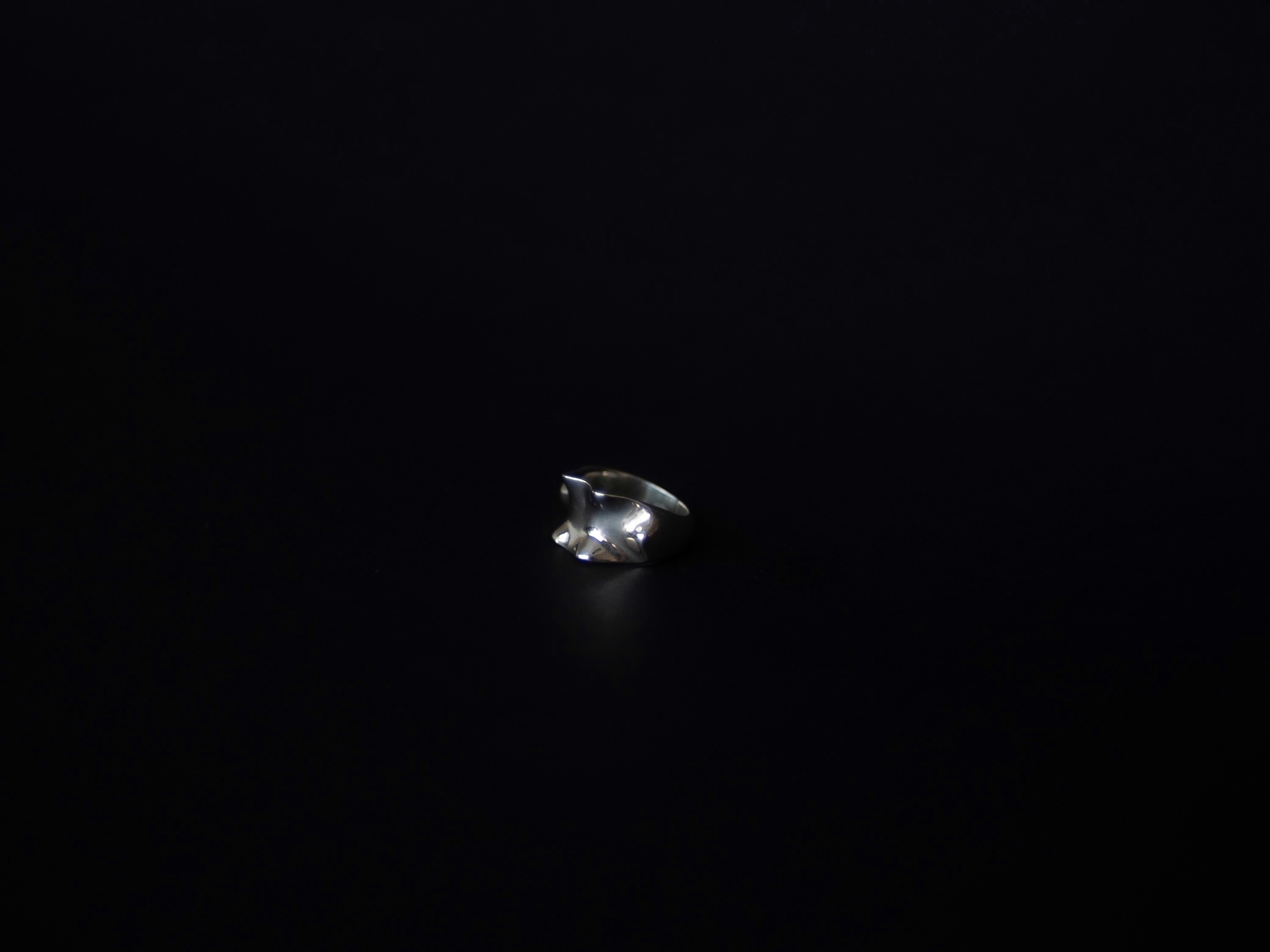 Anel Ondas (Prata) - Imagem 3